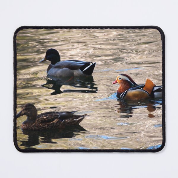 Item preview, Mandarin and Mallards designed and sold by Douglas E. Welch Design and Photography.