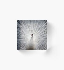 White Peacock Acrylic Block