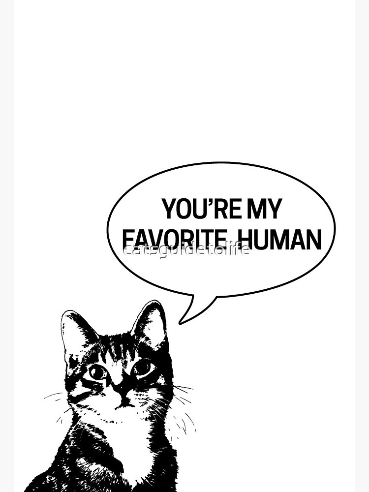 Carte De Vœux Tu Es Mon Humain Prefere Ce Chat Dit Amour Valentine Anniversaire Carte Par Thiscatsays Redbubble