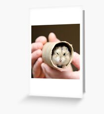 Winking Hamster Greeting Card