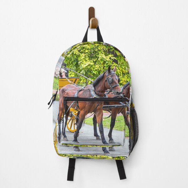 Item preview, USA. Virginia. Colonial Williamsburg. Horse-drawn Carriage.  designed and sold by vadim19.