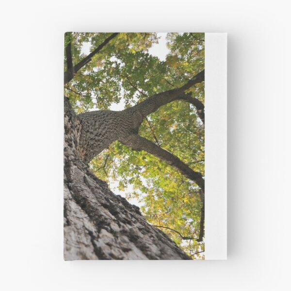 Item preview, Tall Tree designed and sold by L.D. Franklin.