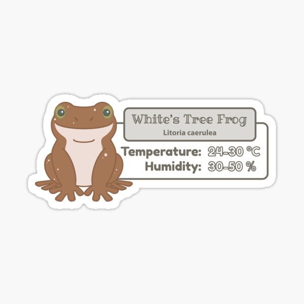 White's Tree Frog Sticker – Amphisbaena Exotics