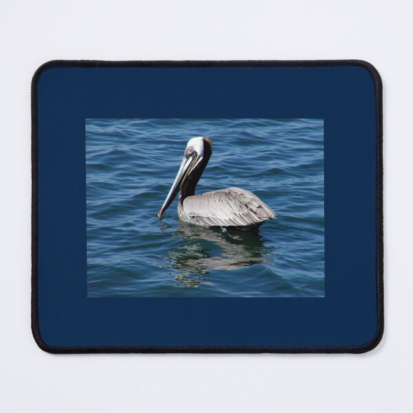 Item preview, Brown Pelican Swimming on a Blue Ocean Surface designed and sold by pixelmountain.
