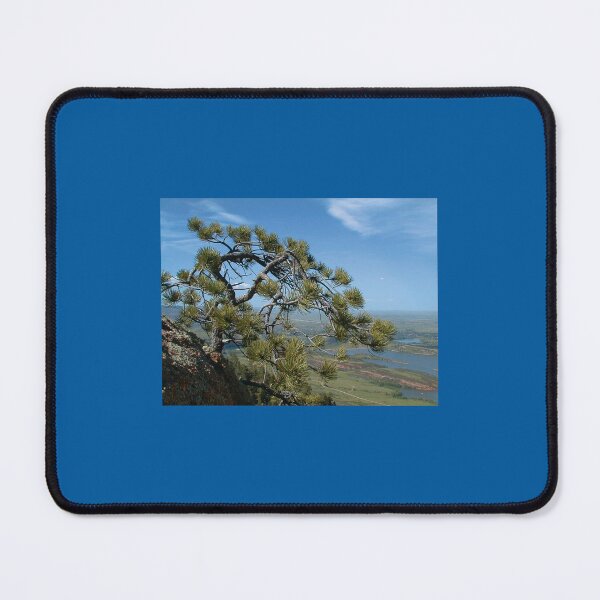 Item preview, Pine Tree on Arthur’s Rock Trail, Fort Collins, Colorado designed and sold by pixelmountain.