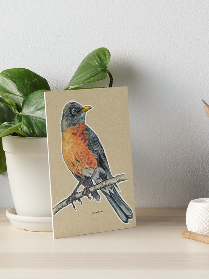 American Robin 5x7 Canvas Wall Art