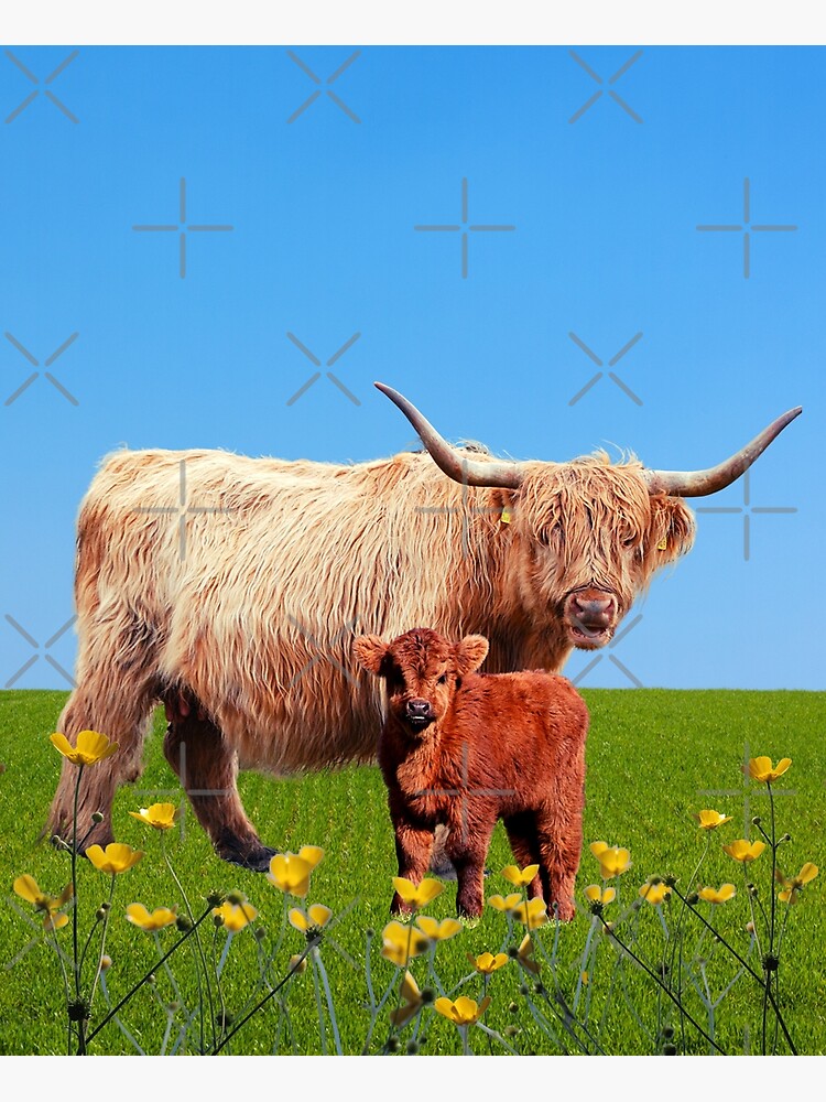 Mother and baby Cute jersey cow with buttercup flowers Essential T-Shirt  for Sale by ShereeDavinia