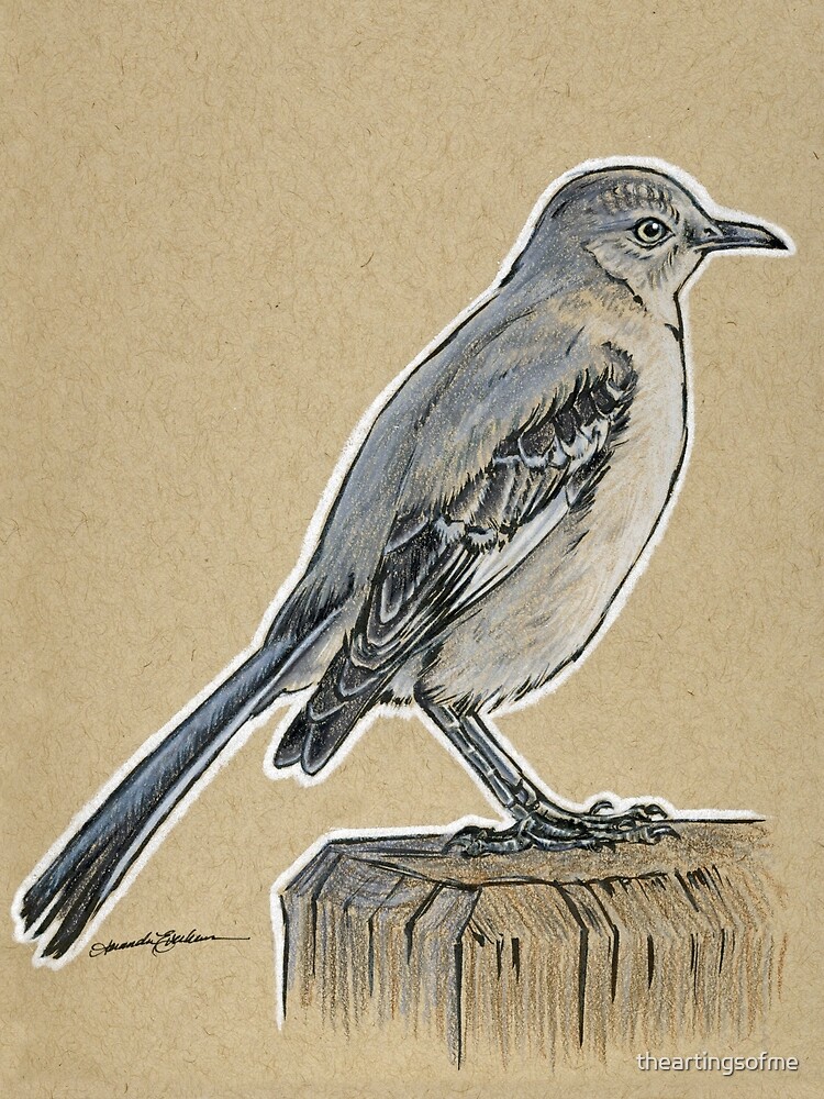 "State Bird Series Florida Northern Mockingbird" Canvas Print by