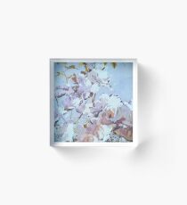 Soft Blue Roses Acrylic Block