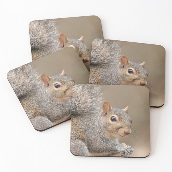 Item preview, Squirrel designed and sold by MelKowasic.