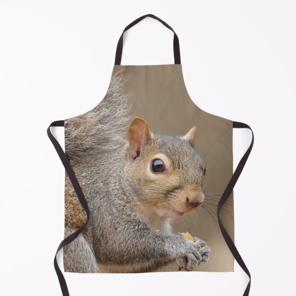 Item preview, Squirrel designed and sold by MelKowasic.