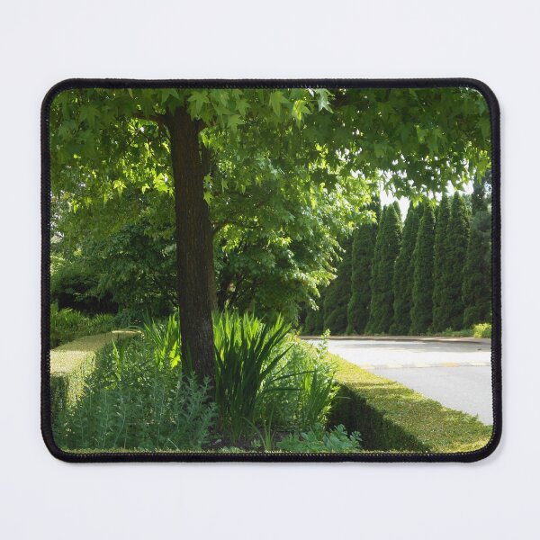 Item preview, Avenue of Trees designed and sold by Kathryn Jones.
