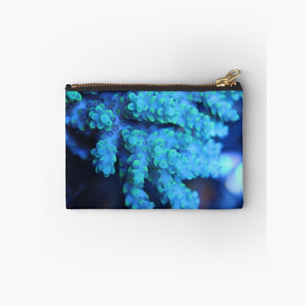 Item preview, Australian Acropora designed and sold by Ben Goldberg.