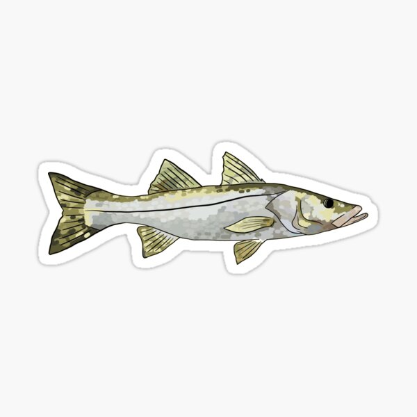 50Pcs Fly Fishing Stickers Bass Boat Decals Trout Crappie Snook