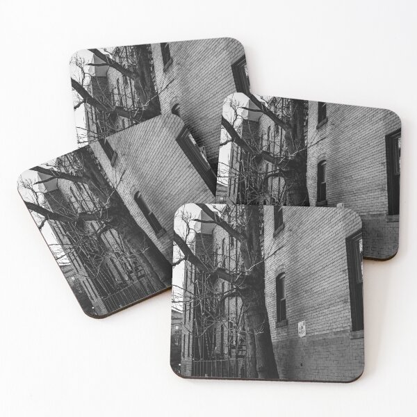 Item preview, The tree that grew threw the concrete  designed and sold by photofreak56.
