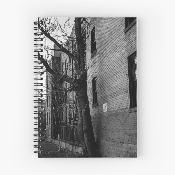 Item preview, The tree that grew threw the concrete  designed and sold by photofreak56.