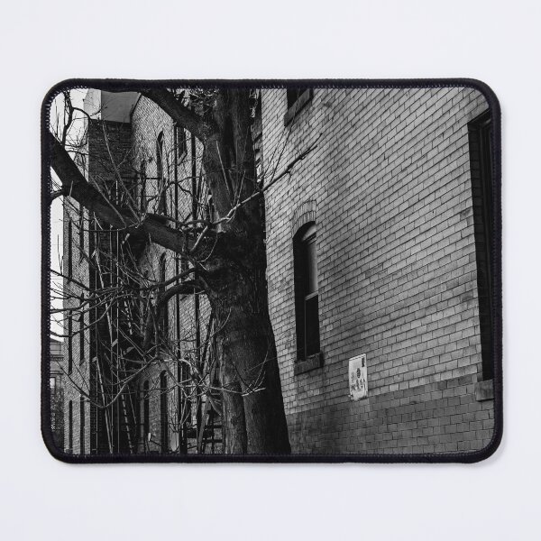 Item preview, The tree that grew threw the concrete designed and sold by photofreak56.