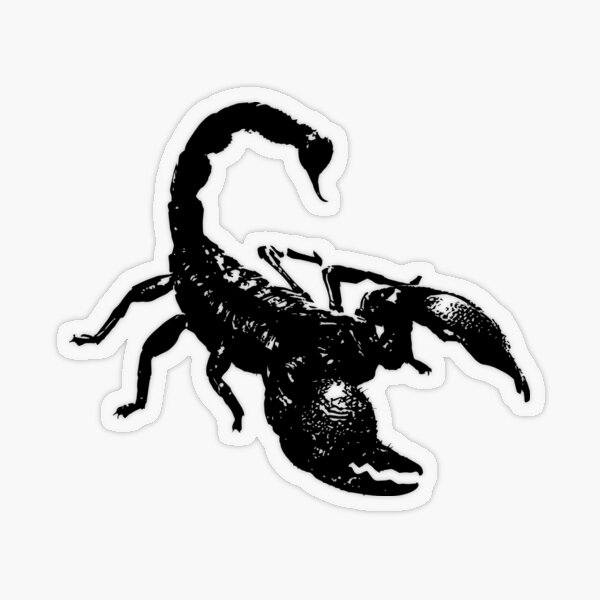 emperor scorpion for sale florida