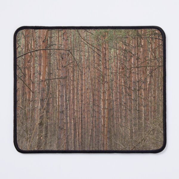 Item preview, Light Pine Tree Forest in Spring designed and sold by denis-romanov.