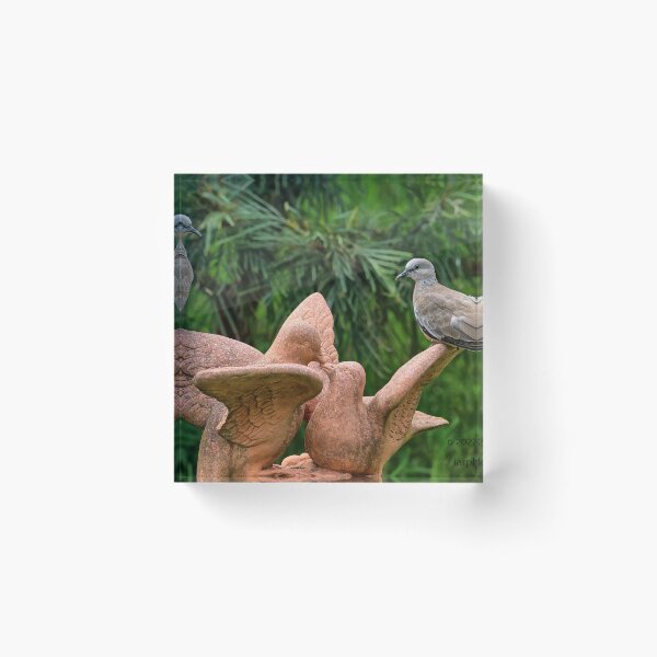 Item preview, Love doves. designed and sold by Ian Ramsay.