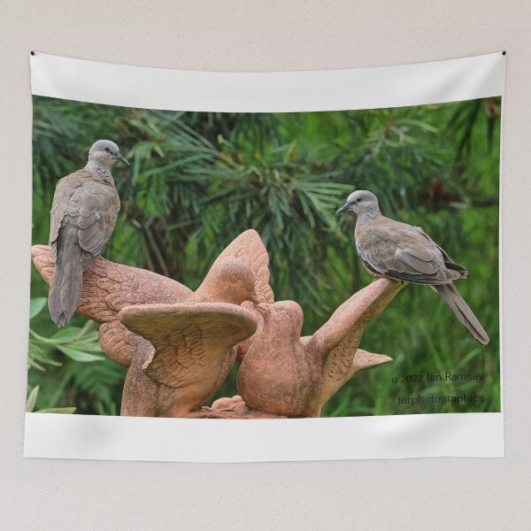 Item preview, Love doves. designed and sold by Ian Ramsay.