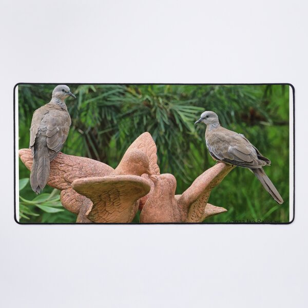 Item preview, Love doves. designed and sold by Ian Ramsay.