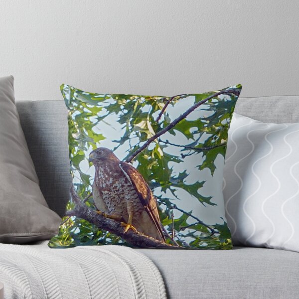 Artikelvorschau, Broadwing Hawk entworfen und verkauft von Frankie Cat Photography.