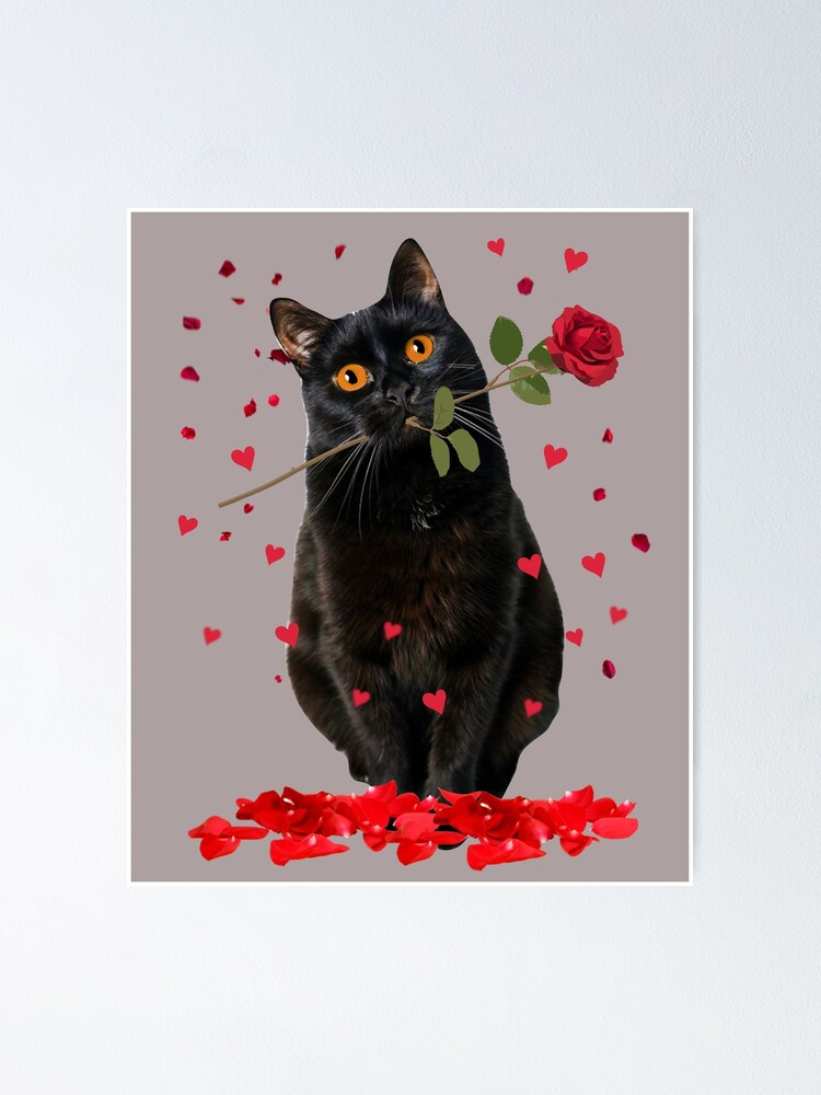 Schwarze Katze Ritter, Süße Katze mit Rüstung und einem Schwert Druck,  Haustier Lustiges Portrait, Entzückende Wohndekor Geschenkidee - .de