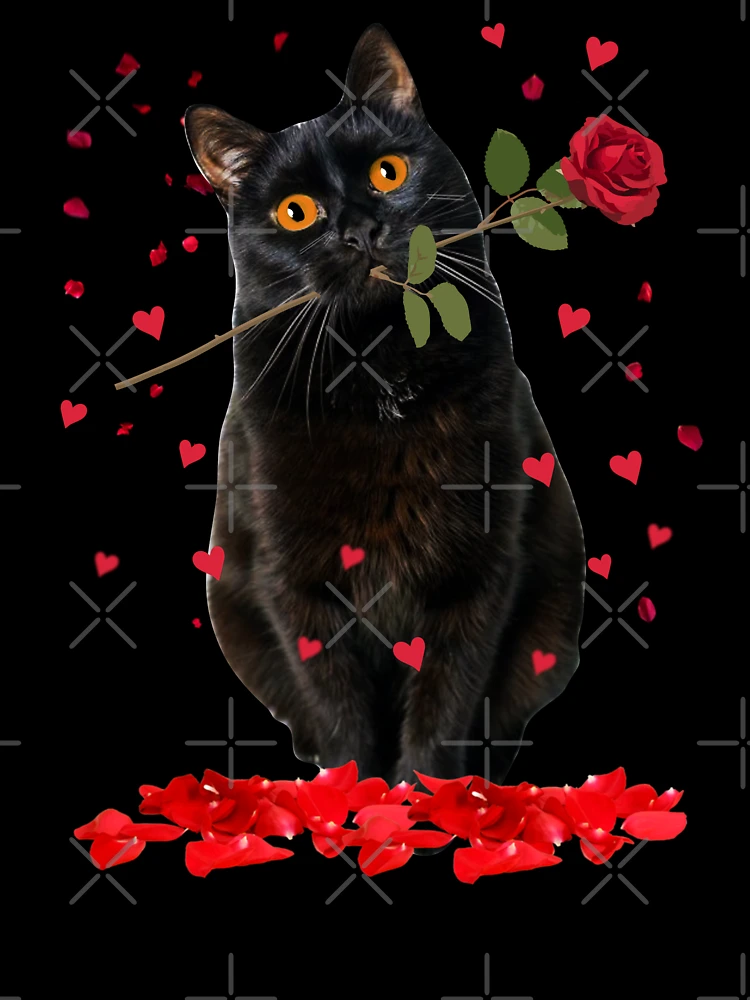 Black Cat Red Roses Catographer' Helps Shelter Cats Find Homes For