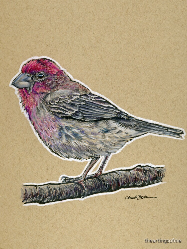 "State Bird Series: New Hampshire - Purple Finch" Sticker by
