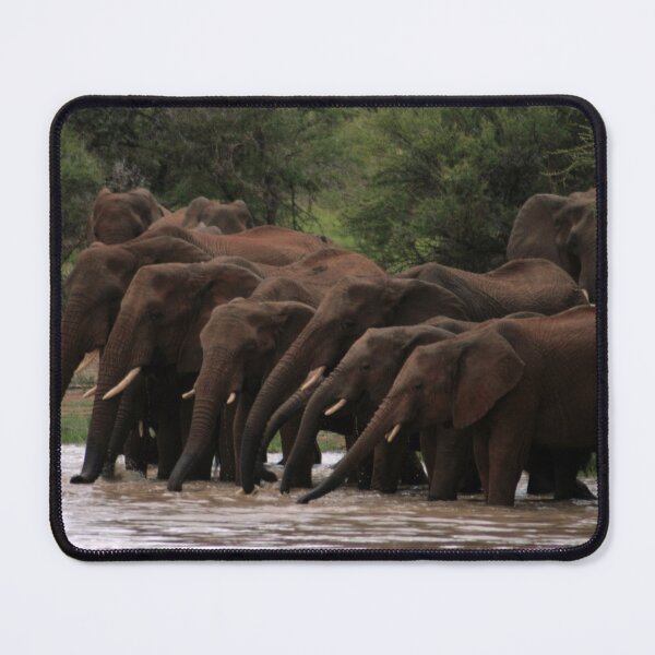 Item preview, Time to Drink. designed and sold by MarkBraham.