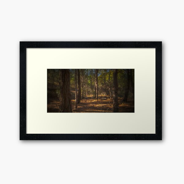Item preview, Light in the woods designed and sold by Ralph Goldsmith.