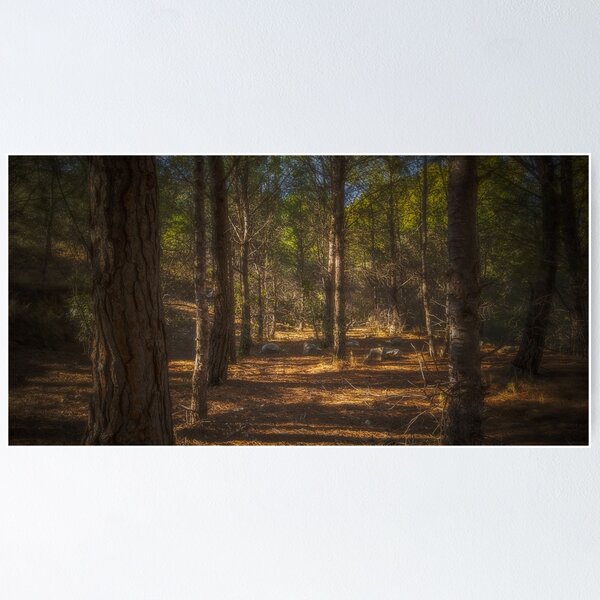Item preview, Light in the woods designed and sold by Ralph Goldsmith.