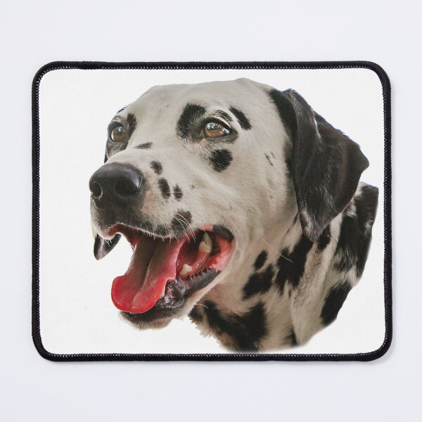 Item preview, Dalmatian Dog designed and sold by Dalyndigital Photography.