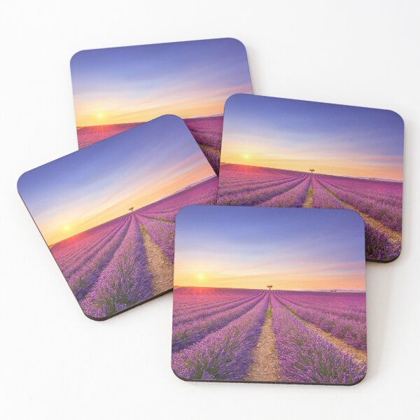 Item preview, Lavender flowers blooming field and trees. Provence, France designed and sold by Stefano Orazzini.