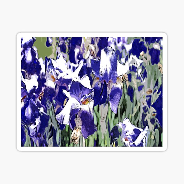 Item preview, Blue irises color art designed and sold by artdragongift.