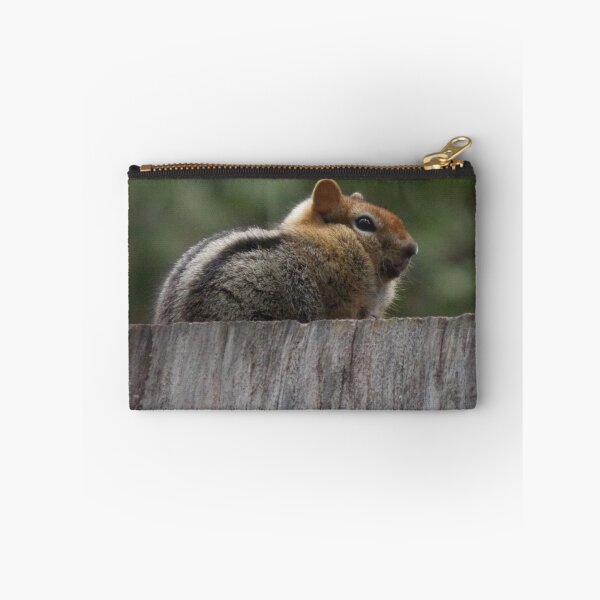 Item preview, Squirrel Resting on a Tree Stump designed and sold by KristinaL.