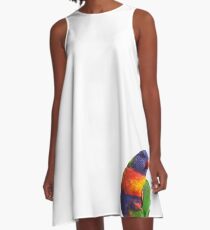 Rainbow Lorikeet A-Line Dress