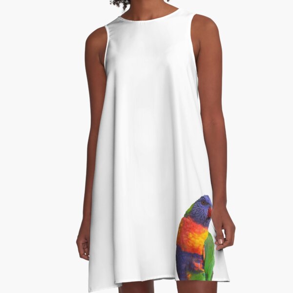 Rainbow Lorikeet A-Line Dress