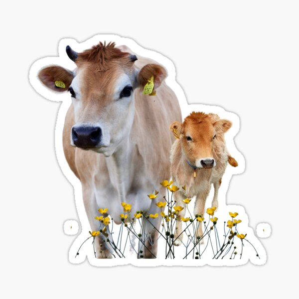 Mother and baby Cute jersey cow with buttercup flowers Essential T-Shirt  for Sale by ShereeDavinia