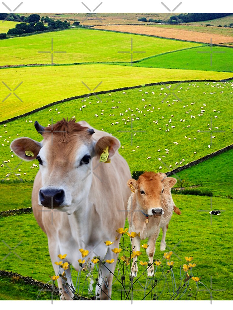 Mother and baby Cute jersey cow with buttercup flowers Essential T-Shirt  for Sale by ShereeDavinia