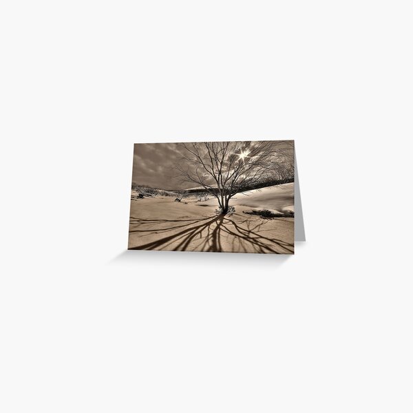 Item preview, Burnt snowgums, Bogong High Plains designed and sold by Kevin McGennan.