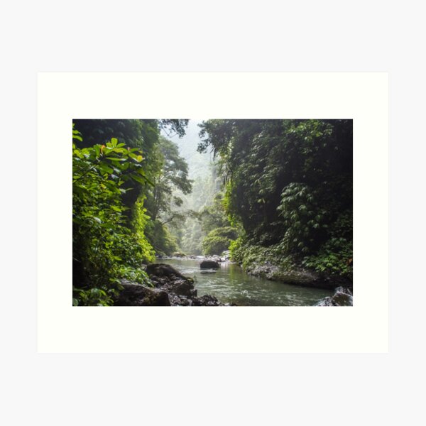 Item preview, The serenity of a jungle river designed and sold by hugobraun.