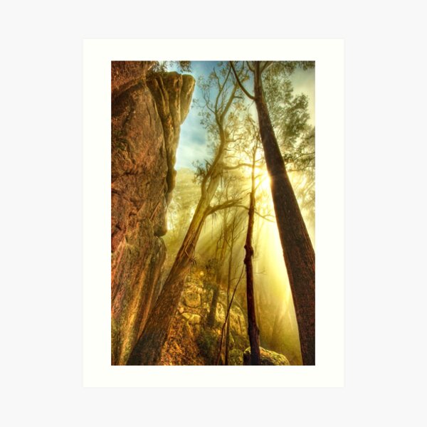 Clearing mist, Mount Buffalo Art Print