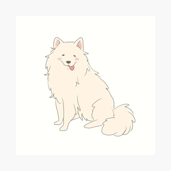 aps,504x498,medium,transparent