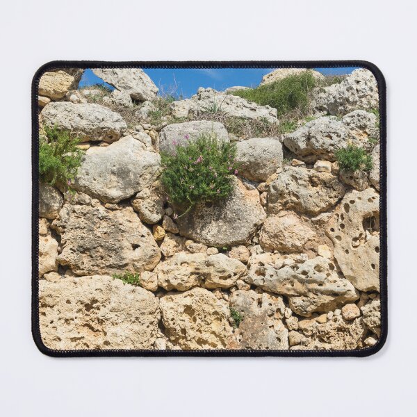 Item preview, Life on Bare Rock - Vertical Herb Garden on Antique Stone Wall designed and sold by Georgia Mizuleva.