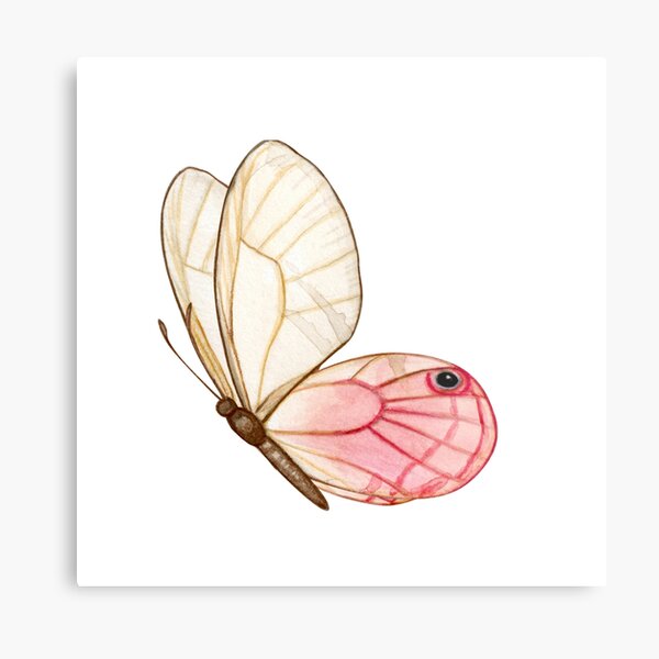 Lámina metálica «Mariposa ; hermosa creacion de dios» de Shikshart | Redbubble Lámina metálica «Mariposa ; hermosa creacion de dios» de Shikshart | Redbubble