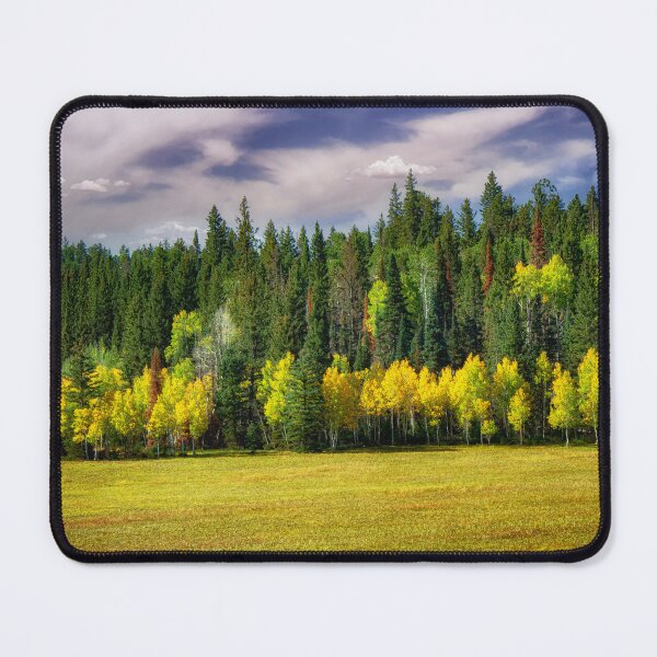 Item preview, Aspens Among the Evergreens designed and sold by Kathy Weaver.