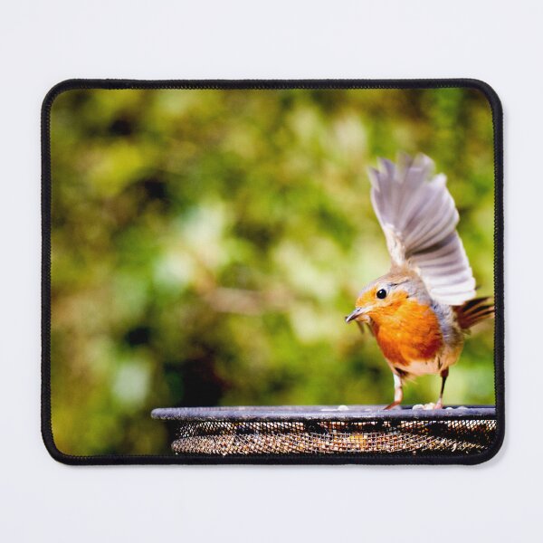 Item preview, Hey there Robin designed and sold by FOLK ART FUSION by heidiannemorris.