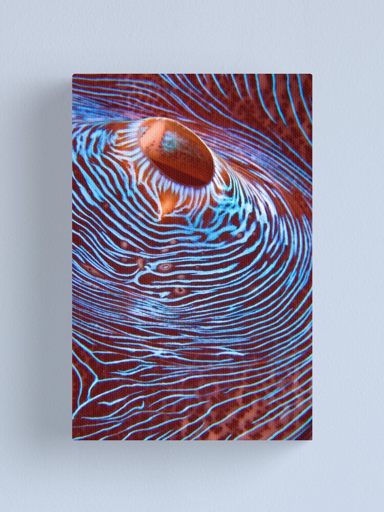 Alternate view of Hyperspace Canvas Print